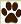 chocolate labrador retrievers