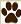 chocolate labrador retrievers